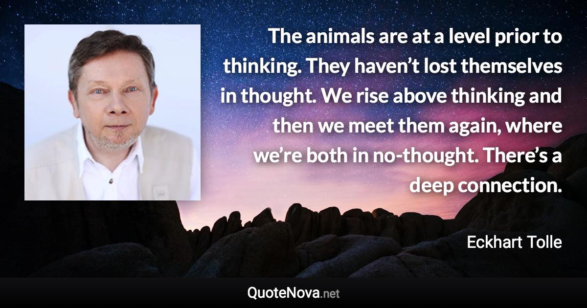 The animals are at a level prior to thinking. They haven’t lost themselves in thought. We rise above thinking and then we meet them again, where we’re both in no-thought. There’s a deep connection. - Eckhart Tolle quote