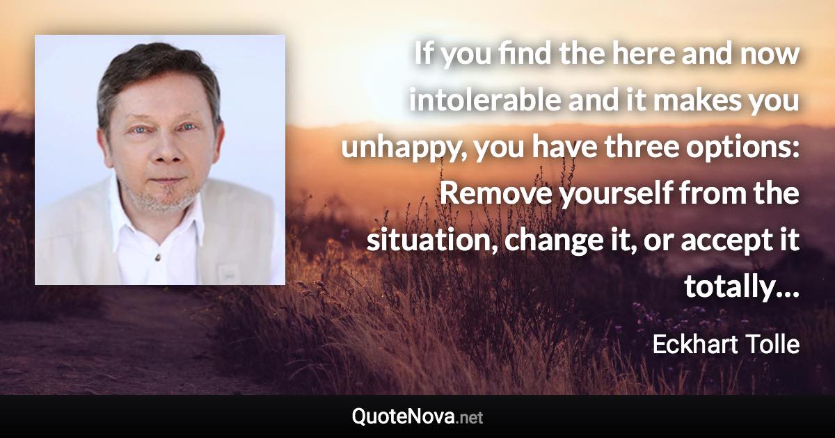 If you find the here and now intolerable and it makes you unhappy, you have three options: Remove yourself from the situation, change it, or accept it totally… - Eckhart Tolle quote