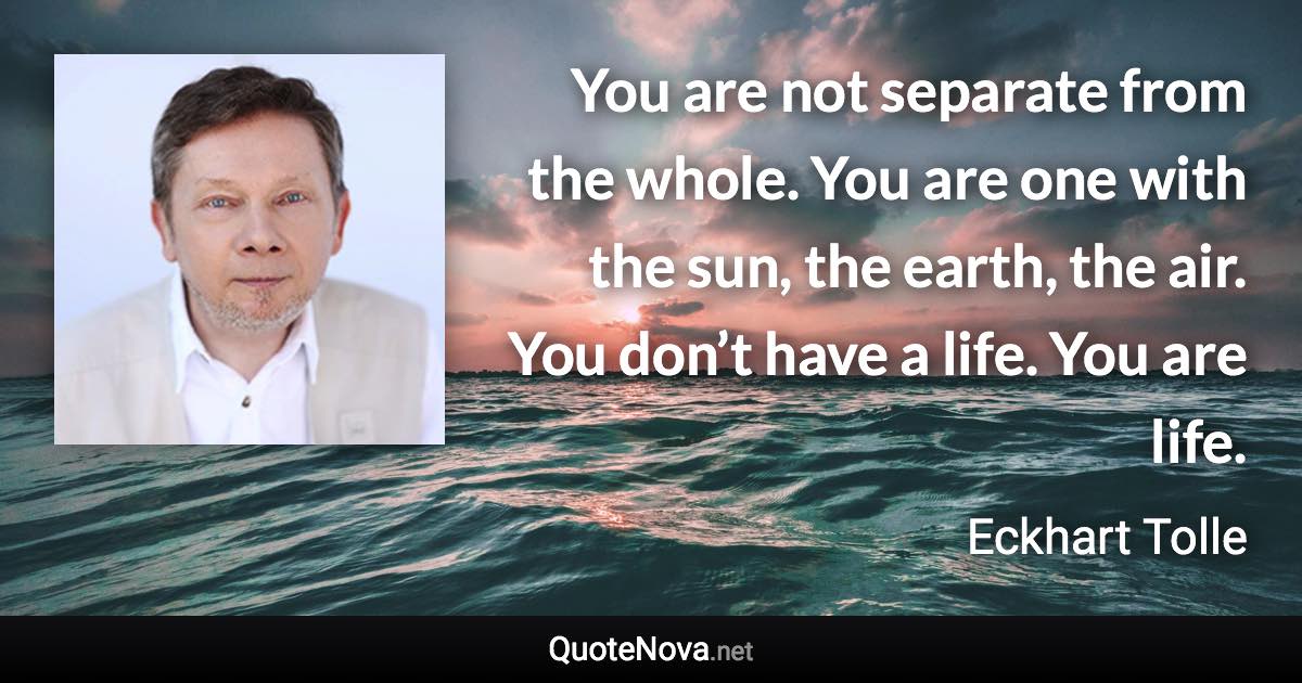 You are not separate from the whole. You are one with the sun, the earth, the air. You don’t have a life. You are life. - Eckhart Tolle quote