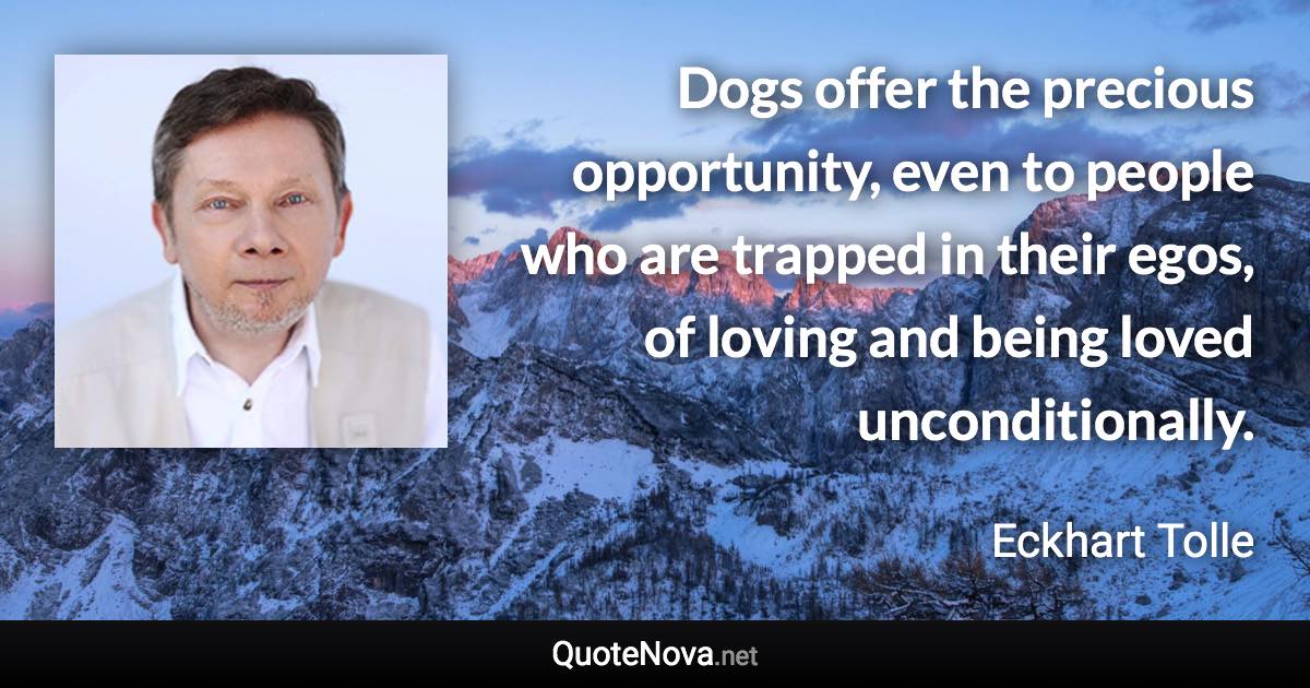 Dogs offer the precious opportunity, even to people who are trapped in their egos, of loving and being loved unconditionally. - Eckhart Tolle quote