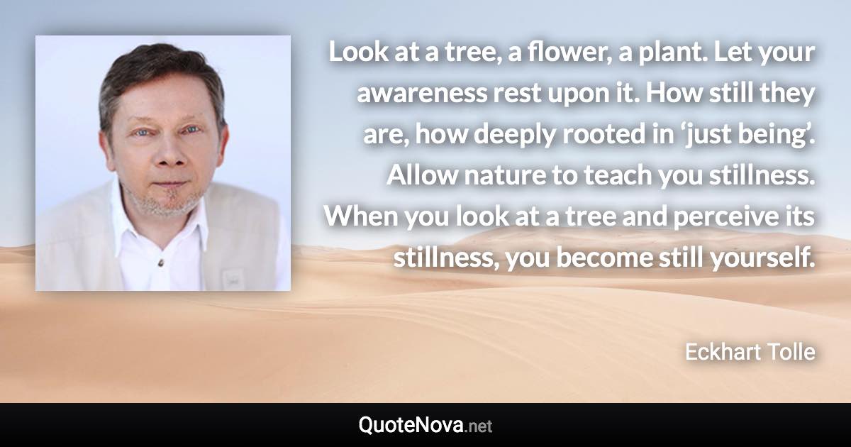 Look at a tree, a flower, a plant. Let your awareness rest upon it. How still they are, how deeply rooted in ‘just being’. Allow nature to teach you stillness. When you look at a tree and perceive its stillness, you become still yourself. - Eckhart Tolle quote