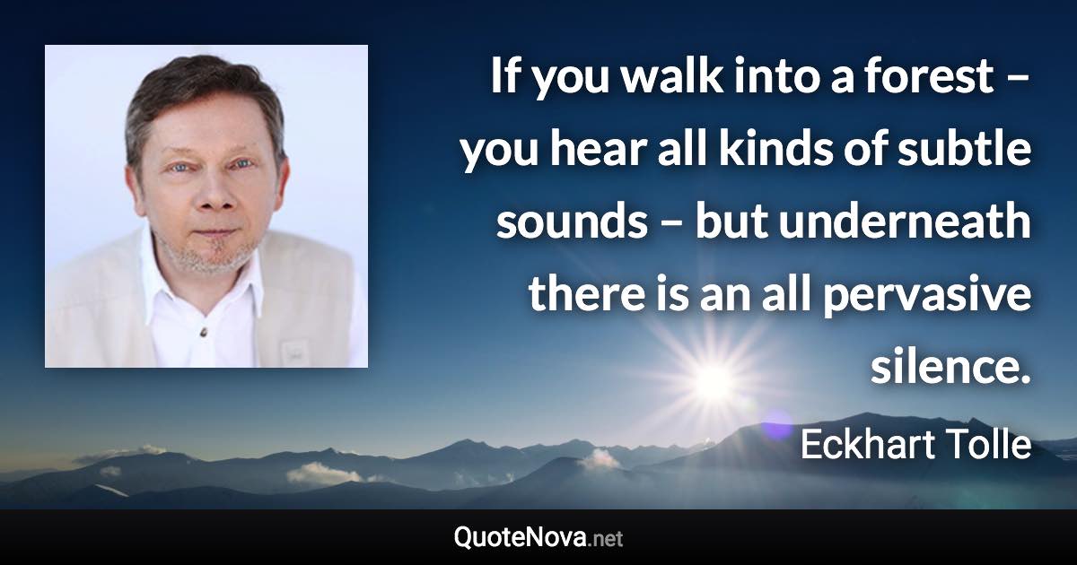 If you walk into a forest – you hear all kinds of subtle sounds – but underneath there is an all pervasive silence. - Eckhart Tolle quote