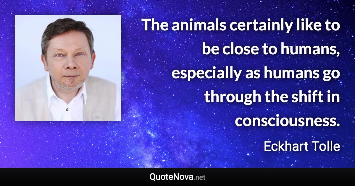 The animals certainly like to be close to humans, especially as humans go through the shift in consciousness. - Eckhart Tolle quote