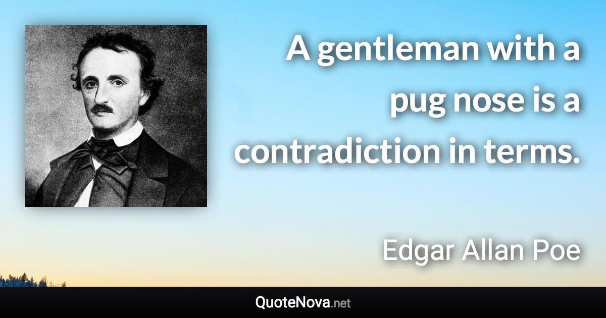 A gentleman with a pug nose is a contradiction in terms. - Edgar Allan Poe quote