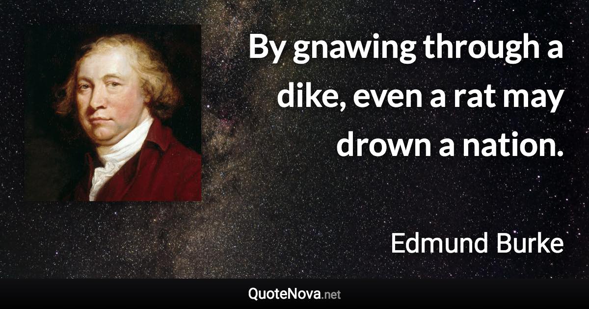 By gnawing through a dike, even a rat may drown a nation. - Edmund Burke quote