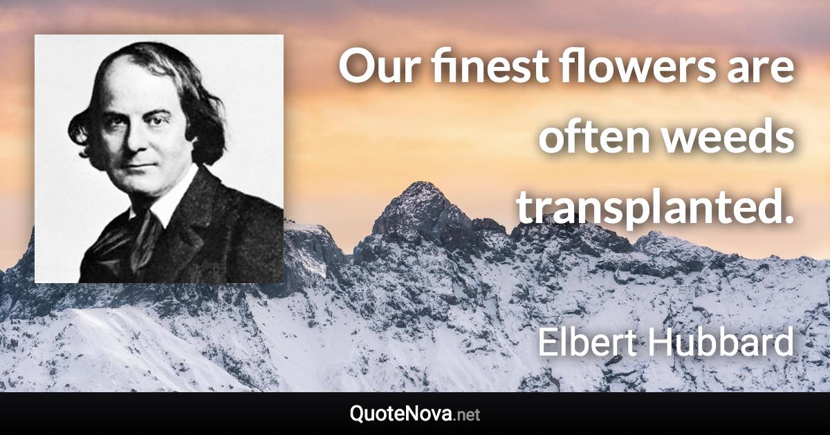 Our finest flowers are often weeds transplanted. - Elbert Hubbard quote