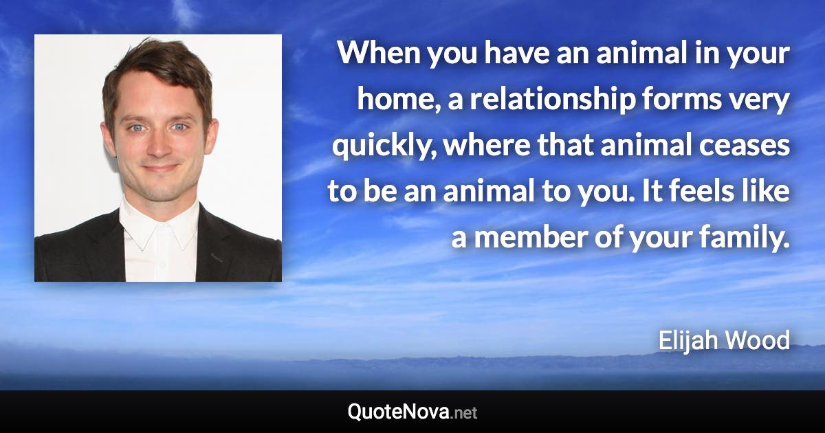 When you have an animal in your home, a relationship forms very quickly, where that animal ceases to be an animal to you. It feels like a member of your family. - Elijah Wood quote