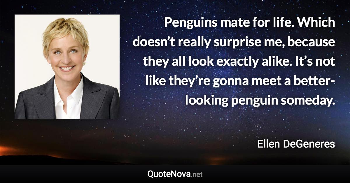 Penguins mate for life. Which doesn’t really surprise me, because they all look exactly alike. It’s not like they’re gonna meet a better-looking penguin someday. - Ellen DeGeneres quote