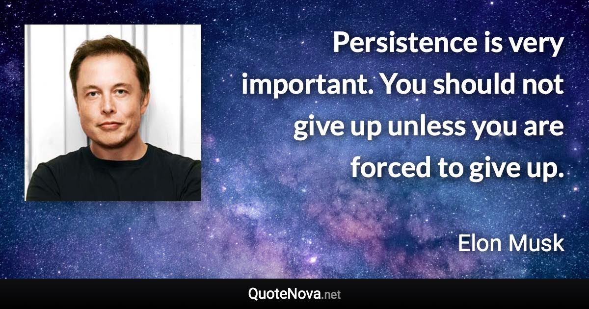Persistence is very important. You should not give up unless you are forced to give up. - Elon Musk quote