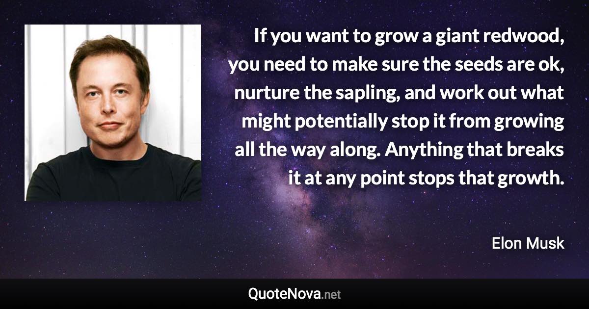 If you want to grow a giant redwood, you need to make sure the seeds are ok, nurture the sapling, and work out what might potentially stop it from growing all the way along. Anything that breaks it at any point stops that growth. - Elon Musk quote