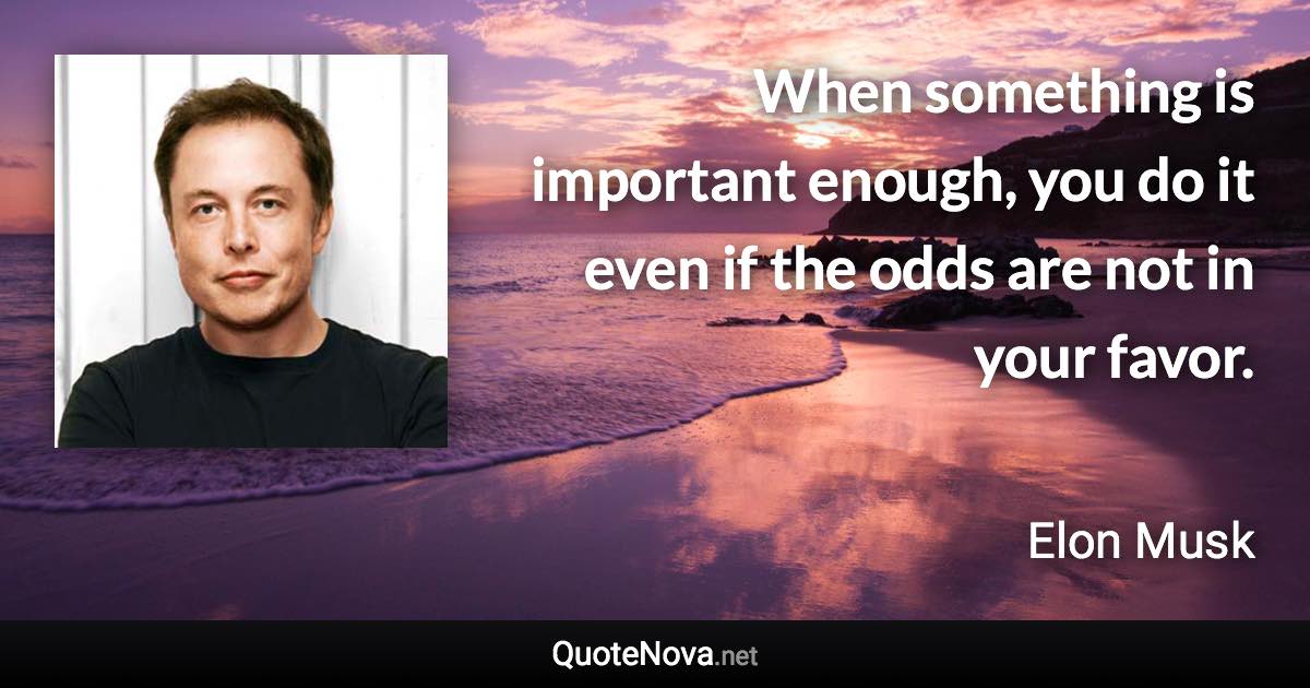 When something is important enough, you do it even if the odds are not in your favor. - Elon Musk quote