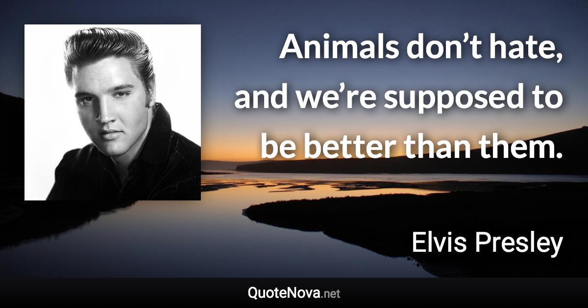 Animals don’t hate, and we’re supposed to be better than them. - Elvis Presley quote