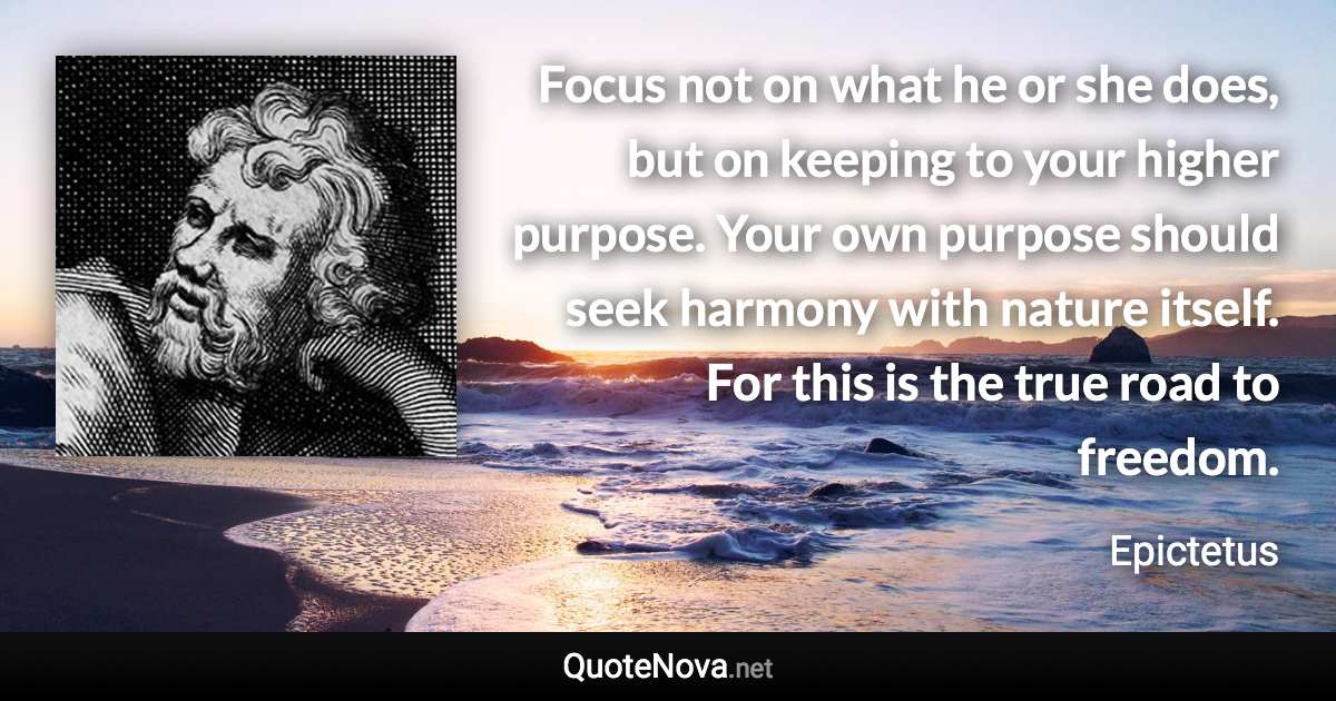 Focus not on what he or she does, but on keeping to your higher purpose. Your own purpose should seek harmony with nature itself. For this is the true road to freedom. - Epictetus quote