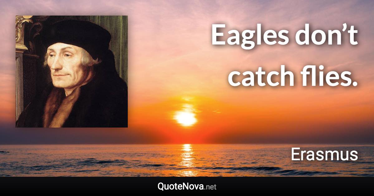 Eagles don’t catch flies. - Erasmus quote