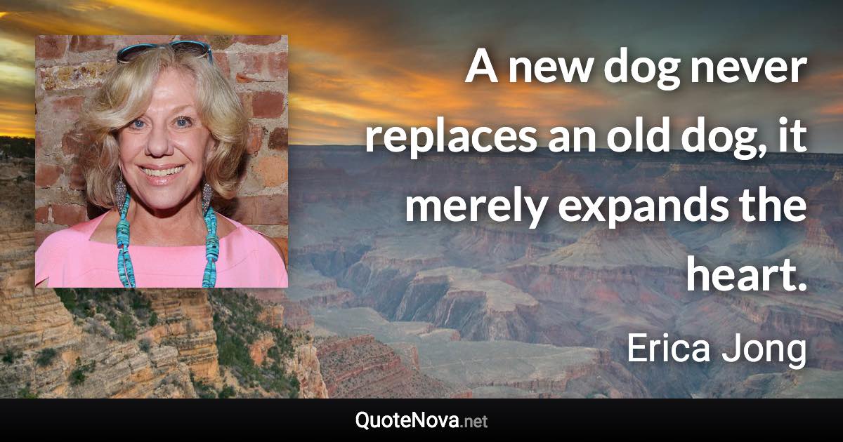 A new dog never replaces an old dog, it merely expands the heart. - Erica Jong quote