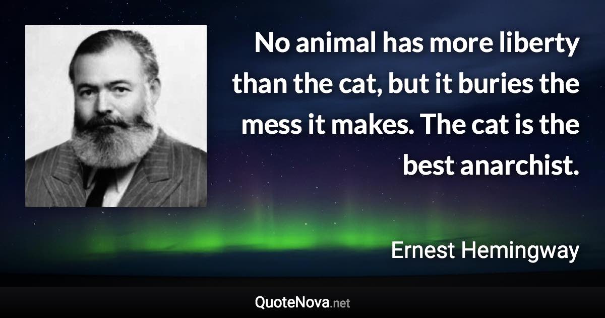 No animal has more liberty than the cat, but it buries the mess it makes. The cat is the best anarchist. - Ernest Hemingway quote