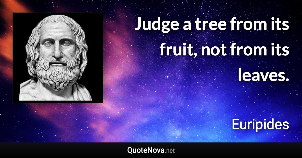 Judge a tree from its fruit, not from its leaves. - Euripides quote