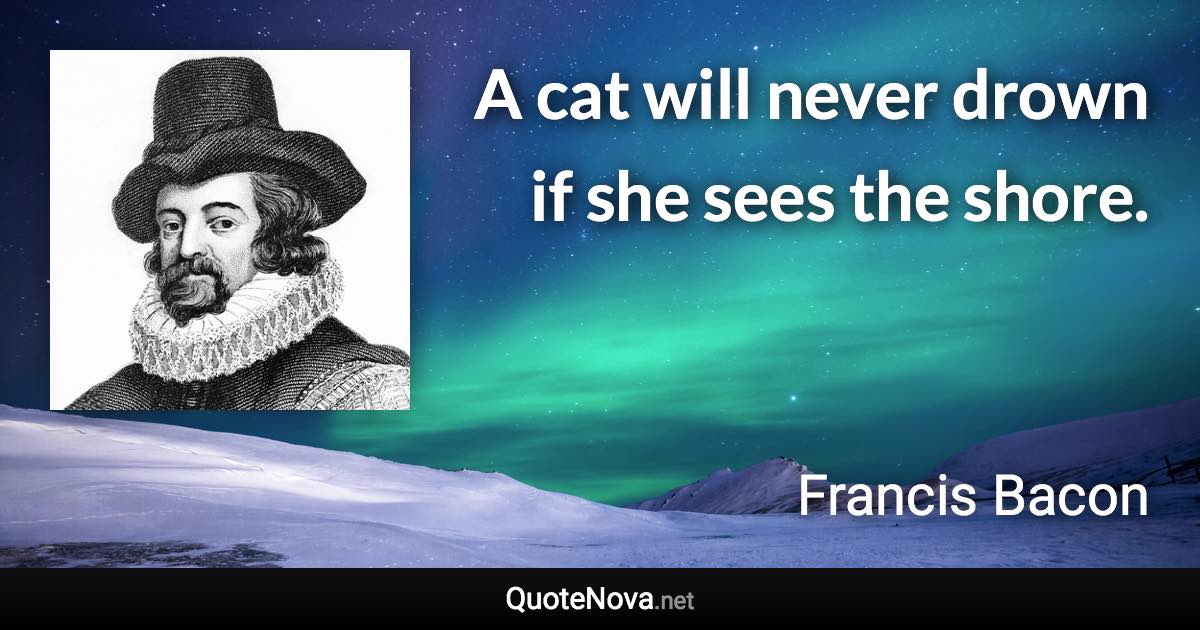 A cat will never drown if she sees the shore. - Francis Bacon quote