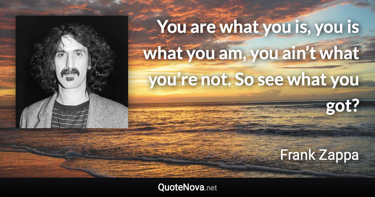 You are what you is, you is what you am, you ain’t what you’re not. So see what you got? - Frank Zappa quote