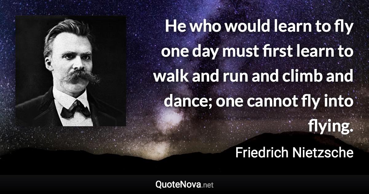 He who would learn to fly one day must first learn to walk and run and climb and dance; one cannot fly into flying. - Friedrich Nietzsche quote