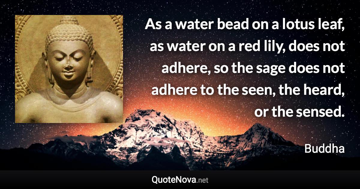 As a water bead on a lotus leaf, as water on a red lily, does not adhere, so the sage does not adhere to the seen, the heard, or the sensed. - Buddha quote