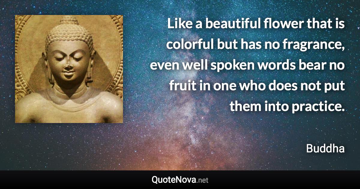 Like a beautiful flower that is colorful but has no fragrance, even well spoken words bear no fruit in one who does not put them into practice. - Buddha quote