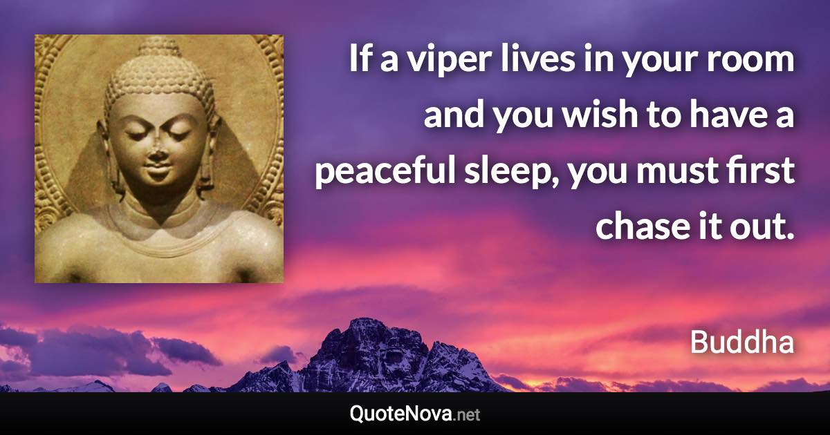 If a viper lives in your room and you wish to have a peaceful sleep, you must first chase it out. - Buddha quote