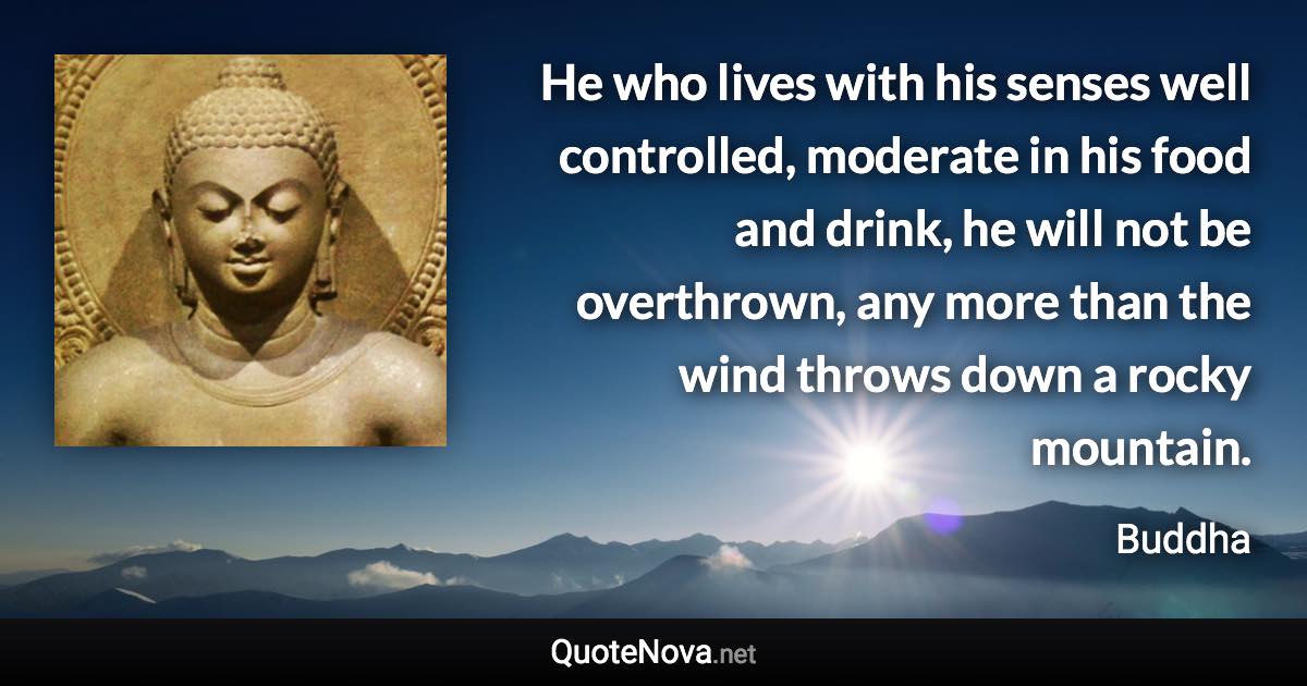 He who lives with his senses well controlled, moderate in his food and drink, he will not be overthrown, any more than the wind throws down a rocky mountain. - Buddha quote