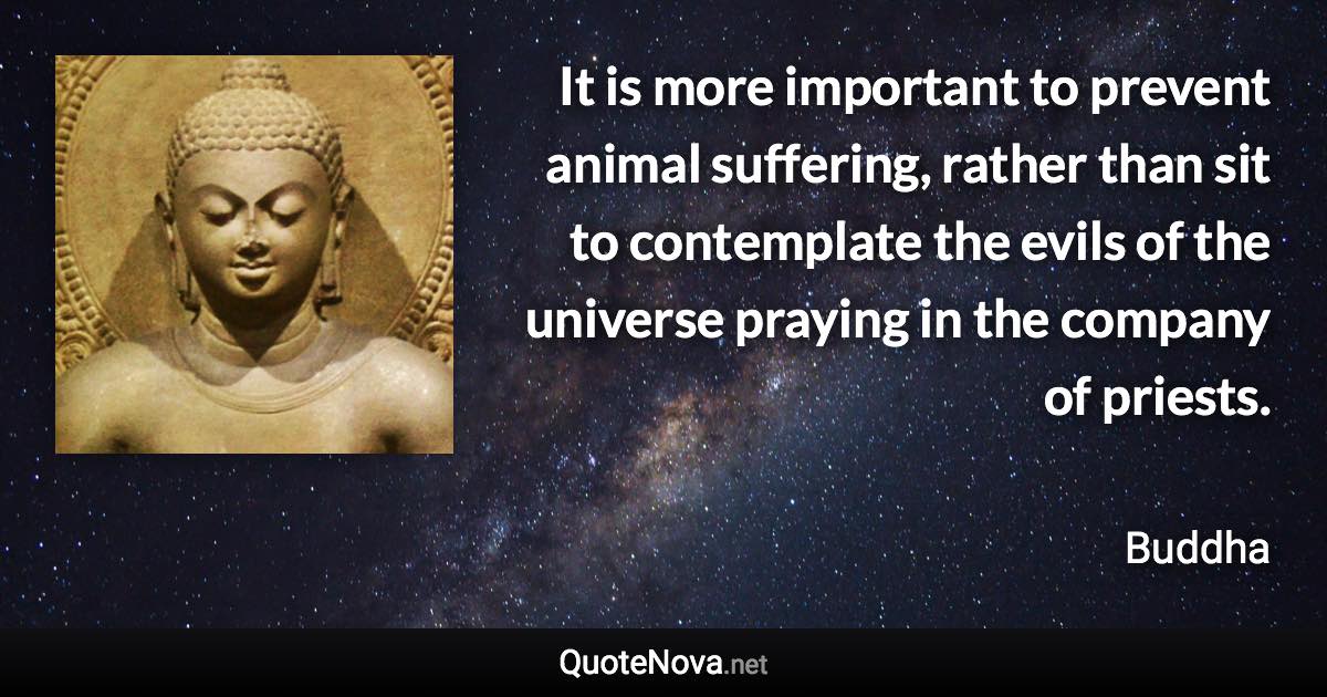 It is more important to prevent animal suffering, rather than sit to contemplate the evils of the universe praying in the company of priests. - Buddha quote