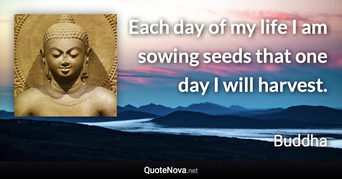 Each day of my life I am sowing seeds that one day I will harvest. - Buddha quote