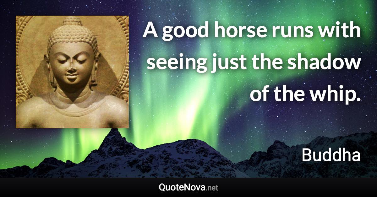 A good horse runs with seeing just the shadow of the whip. - Buddha quote