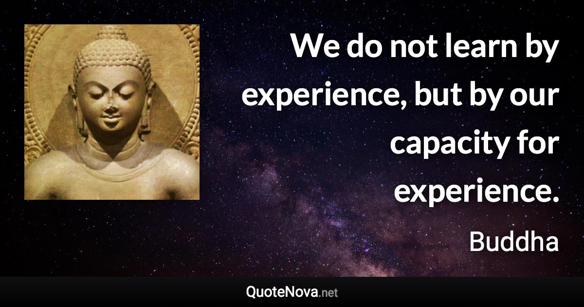 We do not learn by experience, but by our capacity for experience. - Buddha quote