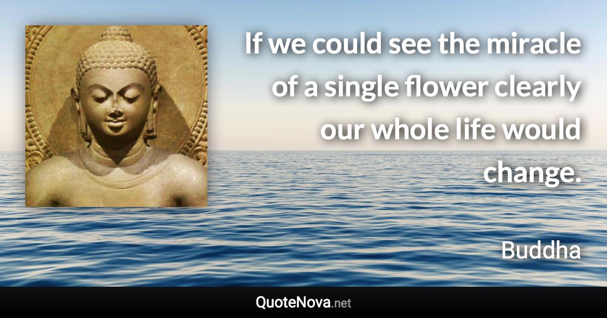 If we could see the miracle of a single flower clearly our whole life would change. - Buddha quote