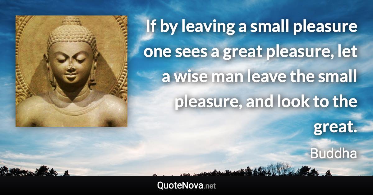 If by leaving a small pleasure one sees a great pleasure, let a wise man leave the small pleasure, and look to the great. - Buddha quote