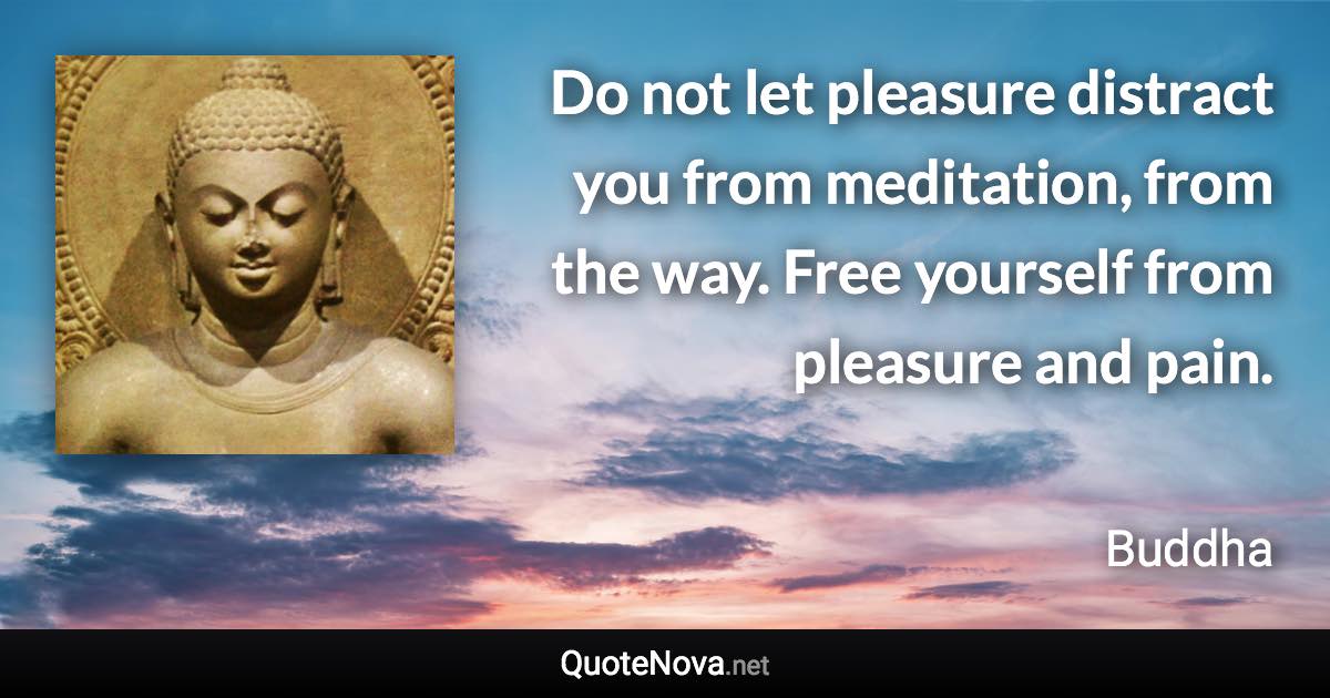 Do not let pleasure distract you from meditation, from the way. Free yourself from pleasure and pain. - Buddha quote