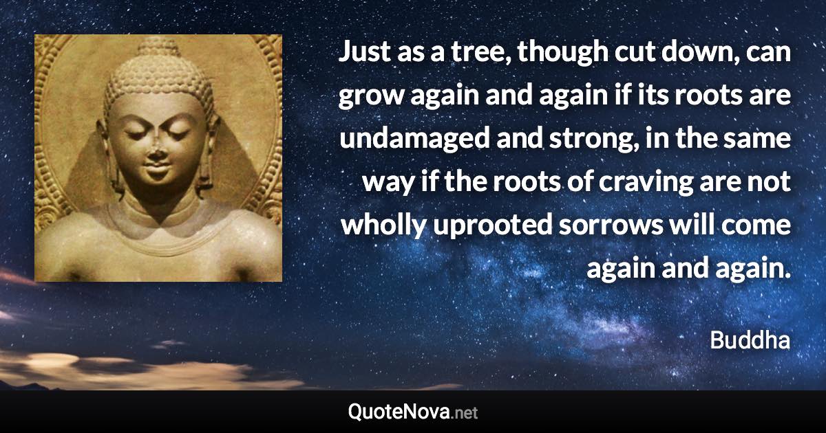 Just as a tree, though cut down, can grow again and again if its roots are undamaged and strong, in the same way if the roots of craving are not wholly uprooted sorrows will come again and again. - Buddha quote