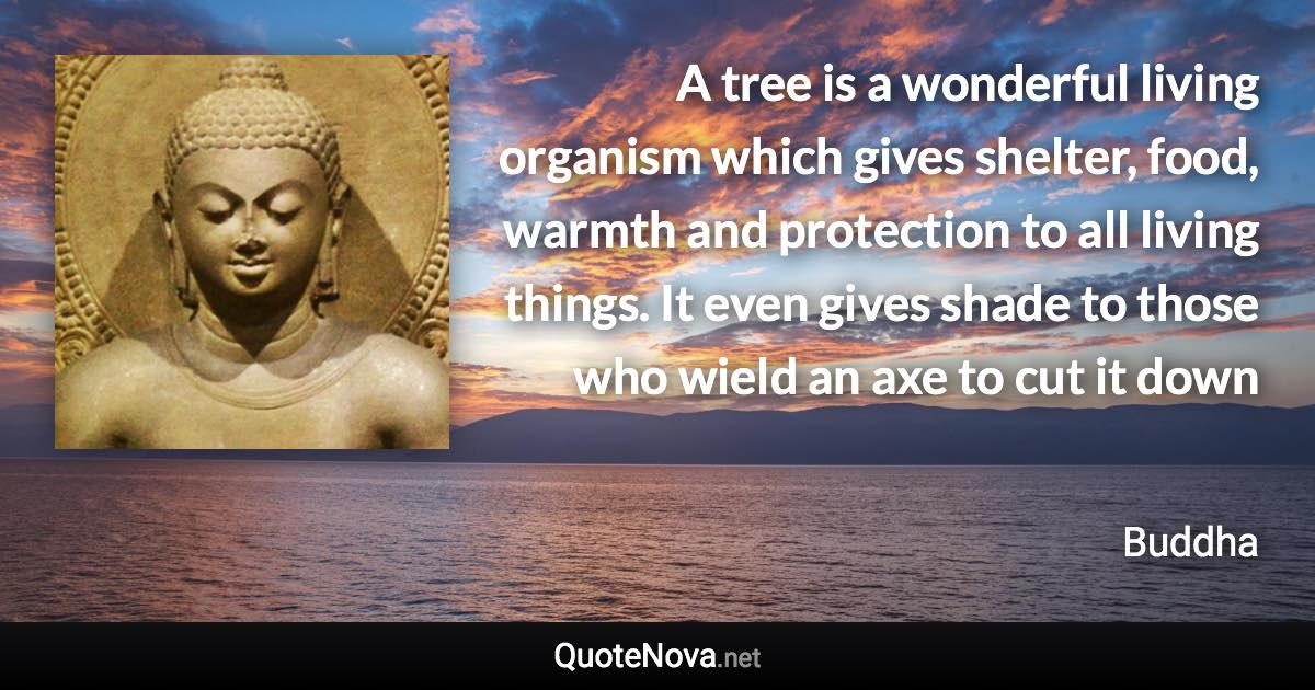 A tree is a wonderful living organism which gives shelter, food, warmth and protection to all living things. It even gives shade to those who wield an axe to cut it down - Buddha quote