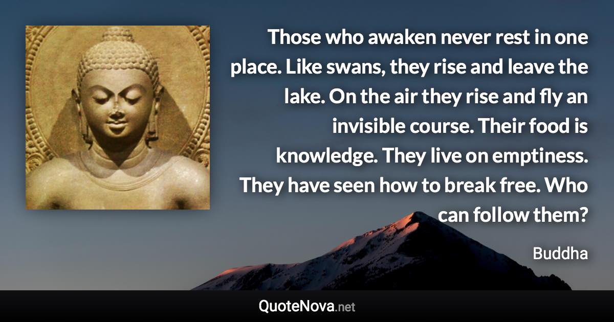 Those who awaken never rest in one place. Like swans, they rise and leave the lake. On the air they rise and fly an invisible course. Their food is knowledge. They live on emptiness. They have seen how to break free. Who can follow them? - Buddha quote