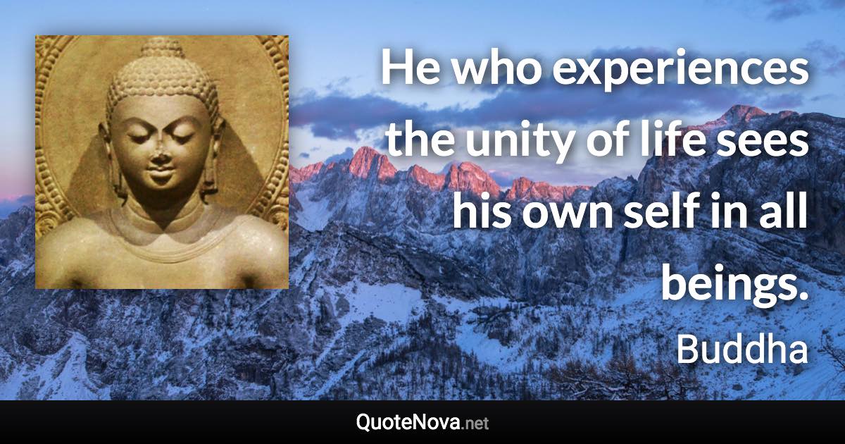 He who experiences the unity of life sees his own self in all beings. - Buddha quote