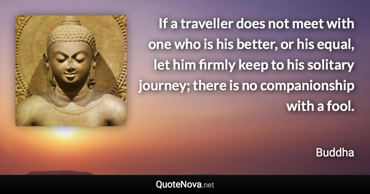 If a traveller does not meet with one who is his better, or his equal, let him firmly keep to his solitary journey; there is no companionship with a fool. - Buddha quote