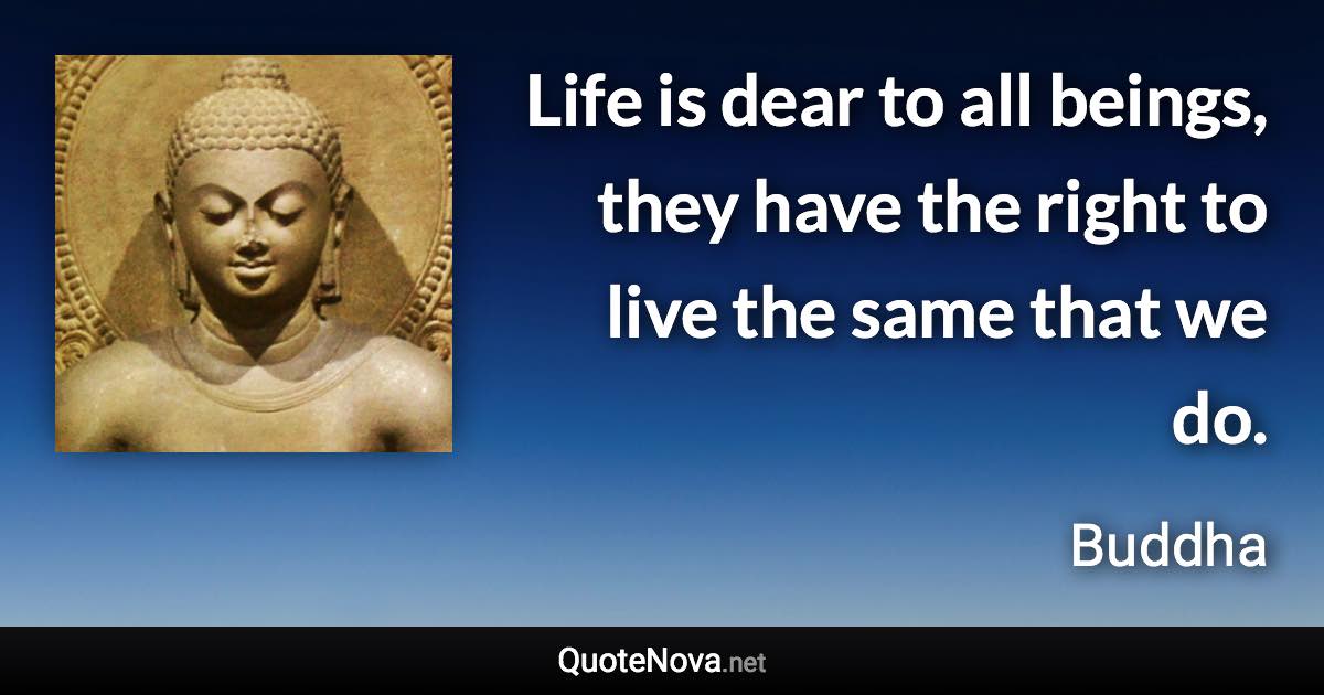 Life is dear to all beings, they have the right to live the same that we do. - Buddha quote