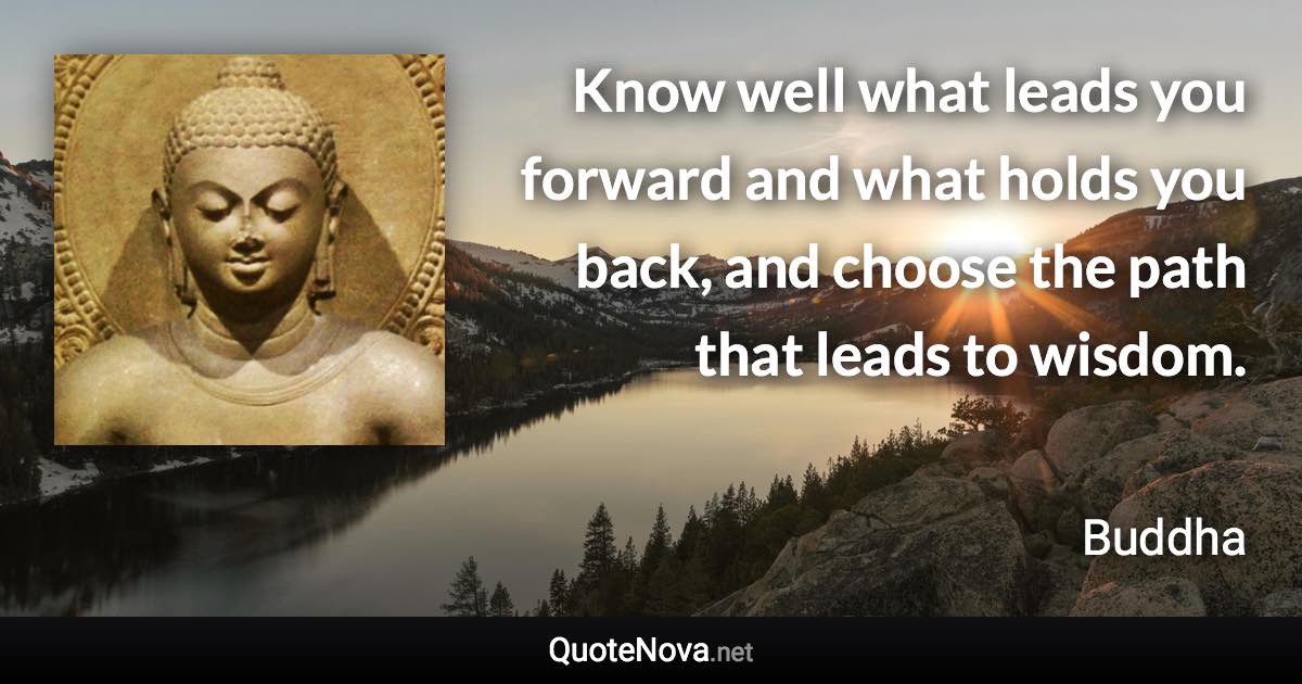 Know well what leads you forward and what holds you back, and choose the path that leads to wisdom. - Buddha quote