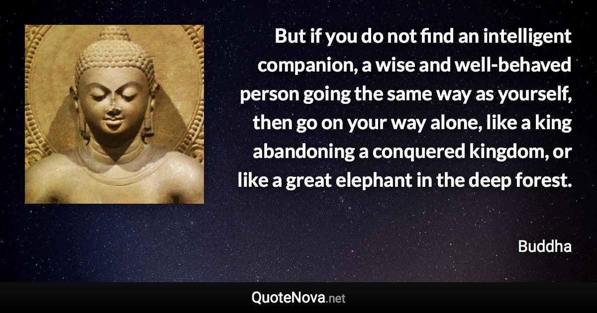 But if you do not find an intelligent companion, a wise and well-behaved person going the same way as yourself, then go on your way alone, like a king abandoning a conquered kingdom, or like a great elephant in the deep forest. - Buddha quote