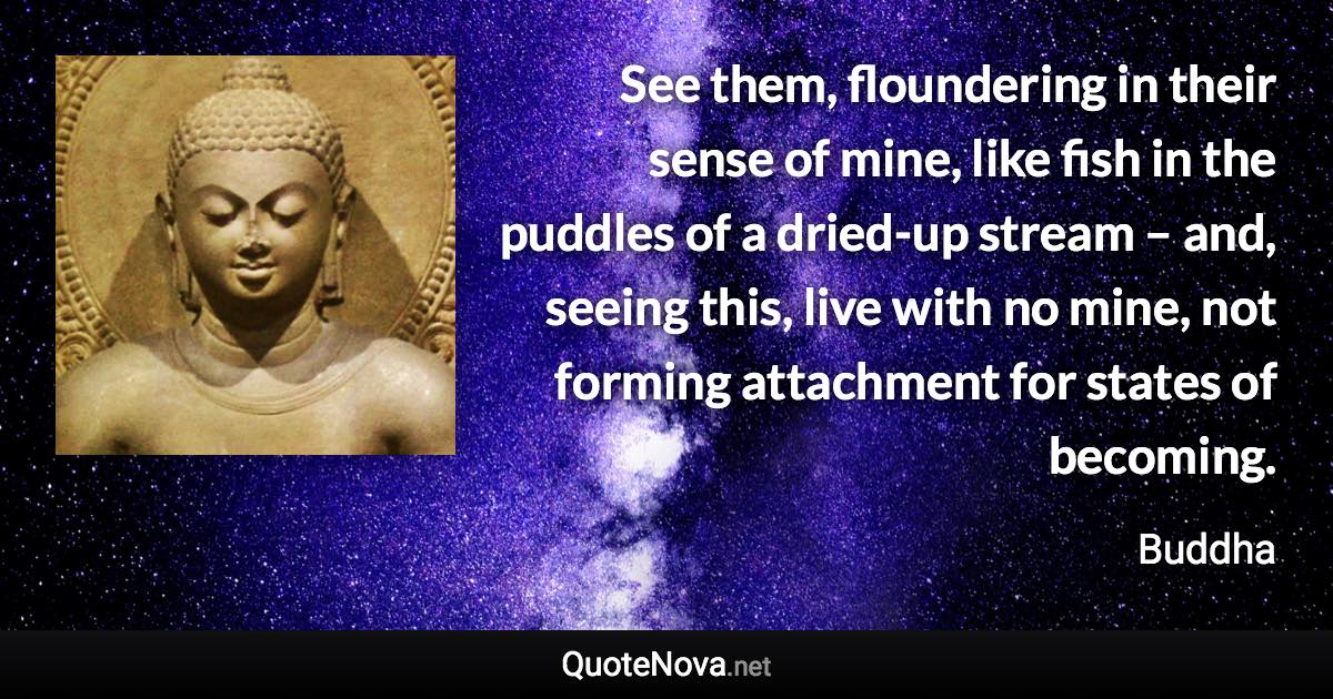 See them, floundering in their sense of mine, like fish in the puddles of a dried-up stream – and, seeing this, live with no mine, not forming attachment for states of becoming. - Buddha quote