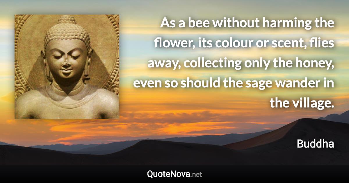 As a bee without harming the flower, its colour or scent, flies away, collecting only the honey, even so should the sage wander in the village. - Buddha quote