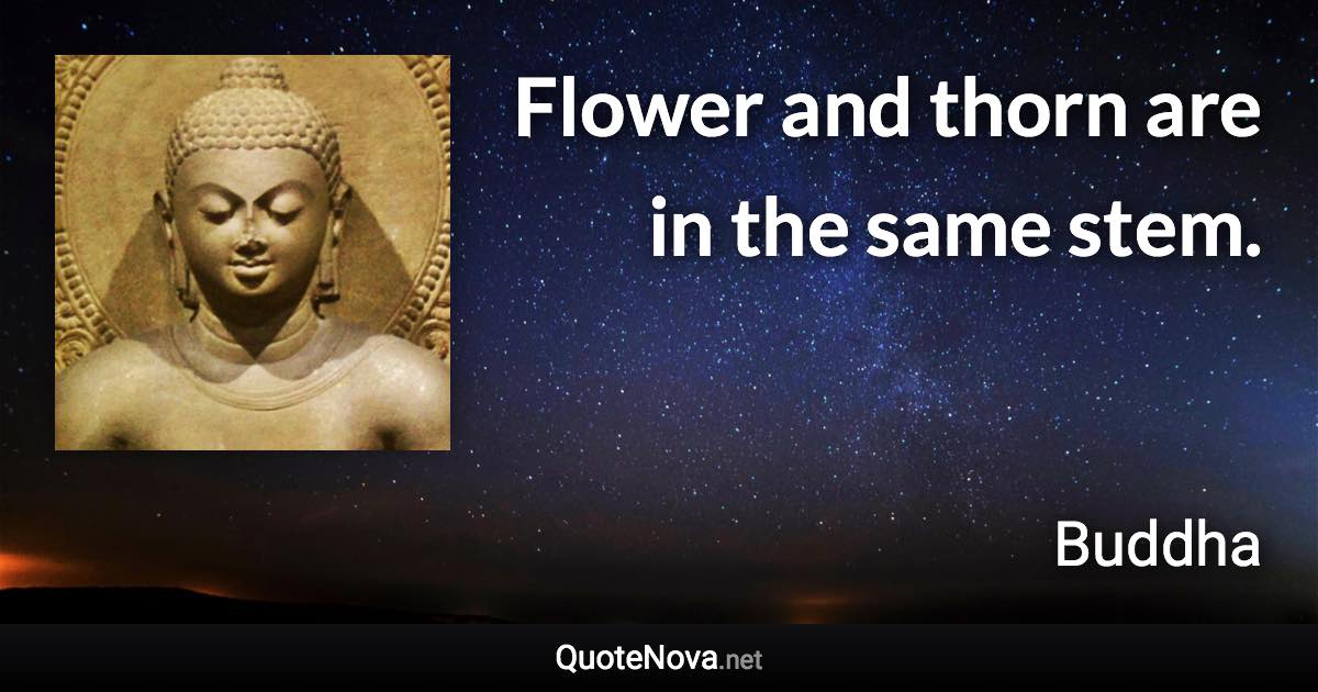 Flower and thorn are in the same stem. - Buddha quote