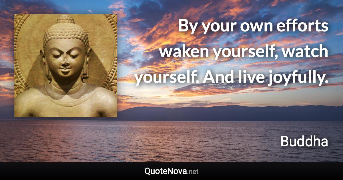 By your own efforts waken yourself, watch yourself. And live joyfully. - Buddha quote