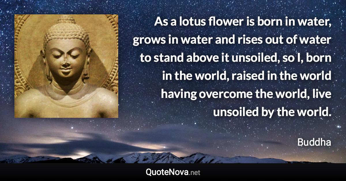 As a lotus flower is born in water, grows in water and rises out of water to stand above it unsoiled, so I, born in the world, raised in the world having overcome the world, live unsoiled by the world. - Buddha quote