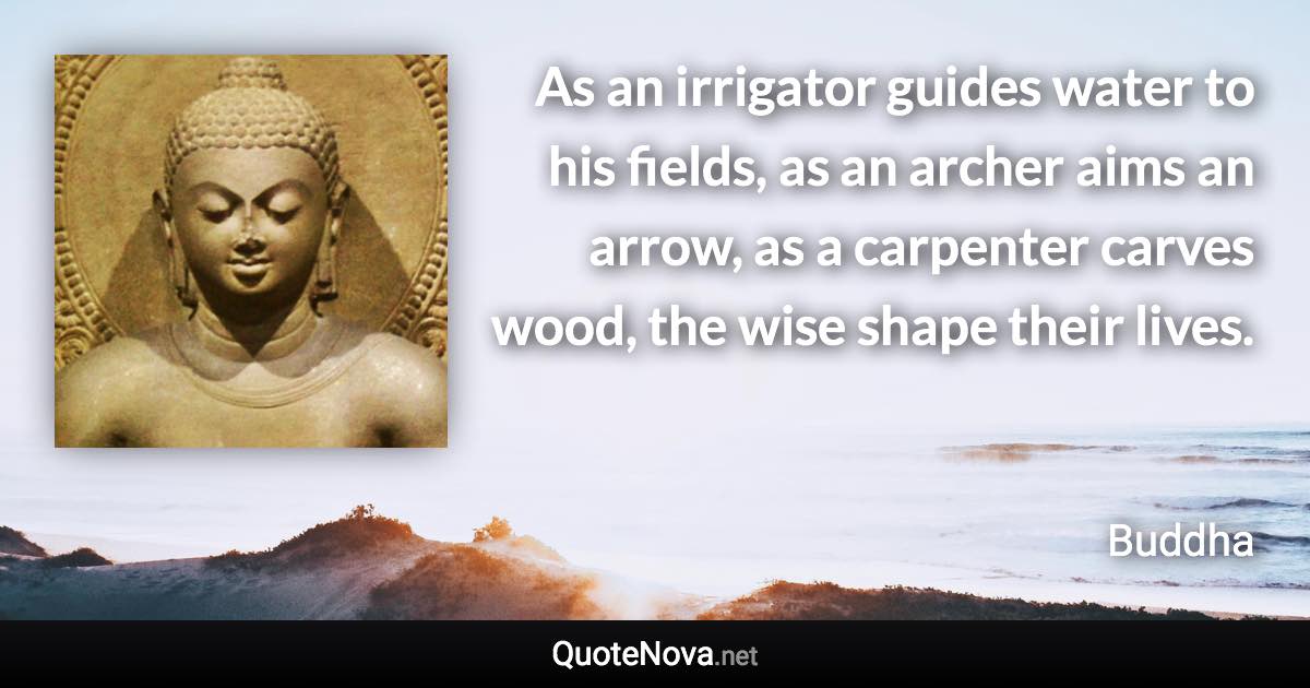 As an irrigator guides water to his fields, as an archer aims an arrow, as a carpenter carves wood, the wise shape their lives. - Buddha quote