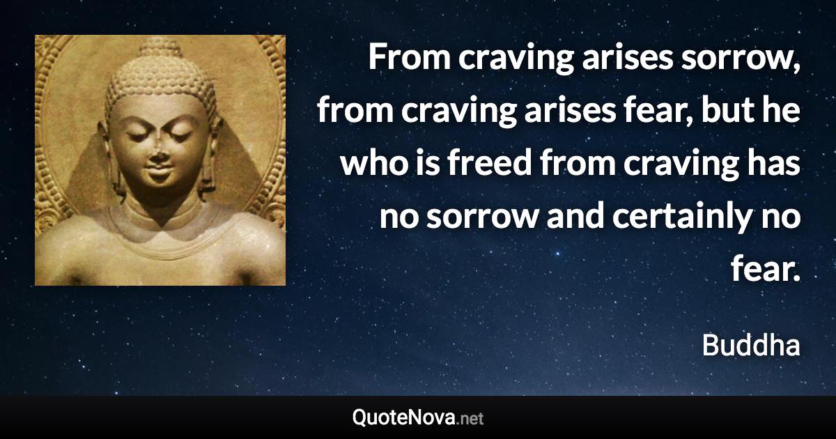 From craving arises sorrow, from craving arises fear, but he who is freed from craving has no sorrow and certainly no fear. - Buddha quote